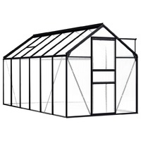 Greenhouse Anthracite Aluminium 7.03 m²