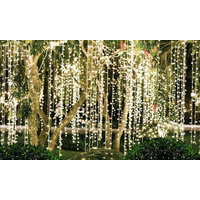 Led Curtain Lights Indoor Outdoor 3x3m (300led)