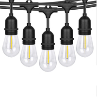 Milano Decor Edison Globe Solar Powered Lamp String Lights - White 20