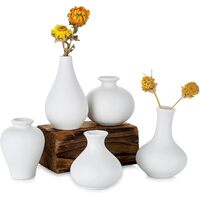 Ceramic Set of 5 White Vases for Home D?cor