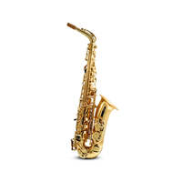 E Flat Alto Saxophone Brass Body Student KAS102