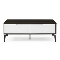RAQUEL Signature Coffee Table Two Drawers/MDF/Steel Legs
