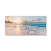 50cmx100cm Ocean and Beach White Frame Canvas
