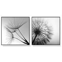 50cmx50cm Black and white dandelion 2 Sets Black Frame Canvas Wall Art