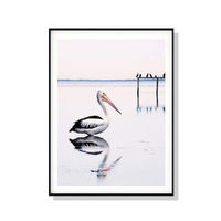 60cmx90cm Pelican Black Frame Canvas Wall Art