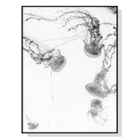 50cmx70cm Jellyfish Black Frame Canvas Wall Art