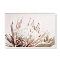 50cmx70cm Pure Protea II White Frame Canvas Wall Art