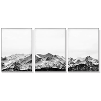 Wall Art 40cmx60cm Black White Mountain 3 Sets White Frame Canvas