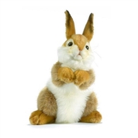 Bunny Plush 30cm