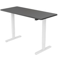 FORTIA Sit Stand Standing Desk, 120x60cm, 72-118cm Height Adjustable, 70kg Load, Black style/White Frame
