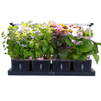 PLANTCRAFT 20 Pod Indoor Hydroponic Growing System, with Water Level Window