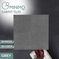 GOMINIMO 20pcs Carpet Tiles 50x50cm for Commercial Retail Office Flooring (Grey) GO-FR-100-KC