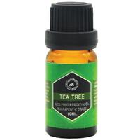 Tea Tree Essential Oil 10ml Bottle - Aromatherapy