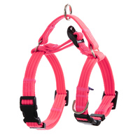 Dog Double-Lined Straps Harness and Lead Set Leash Adjustable L NEON CAROL-PINK