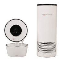 Video Camera with Amazon Alexa Unit