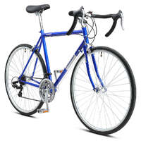 Progear Bikes Racer 700*53cm in Royal Blue