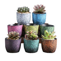 Ceramic Clay Pottery Pots Set Succulent Flower Planter Series 03(Style 01# 8 Pots Set)