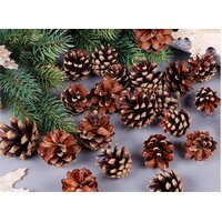 18 Christmas Natural Pine Cones Xmas Tree Hanging Home Decoration Ornament Gifts, 18x Natural Pinecones