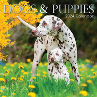 Dogs & Puppies - 2024 Square Wall Calendar Pets Animals 16 Month Premium Planner