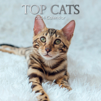 Top Cats - 2024 Square Wall Calendar Pets Animals 16 Months Premium Planner Gift
