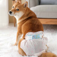 Ondoing Pet Disposable Diapers Dog Puppy Nappy Hygienic Male Female Wraps Toilet Trainer