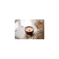 Coco scented Candle- Timber Wick- Vanilla Beans