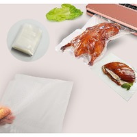 100 x Vacuum Sealer Bags Food Storage Saver Heat Seal Cryovac 20cm x 30cm