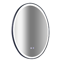 Oval Mirror LED Anti-Fog Illuminated Bathroom Living Room