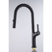 Kitchen Laundry Bathroom Basin Sink Pull Out Mixer Tap Faucet in Black