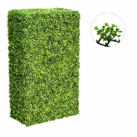 Large Portable Boxwood Hedges UV Stabilised 2m By 1m