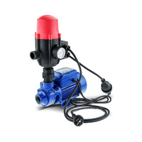 HydroActive Auto Clean Water Pump with controller