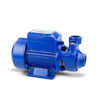 HydroActive 370W Clean Water Pump - Blue
