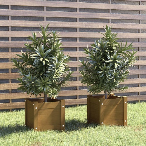 Garden Planters 2 pcs Honey Brown 31x31x31 cm Solid Pinewood