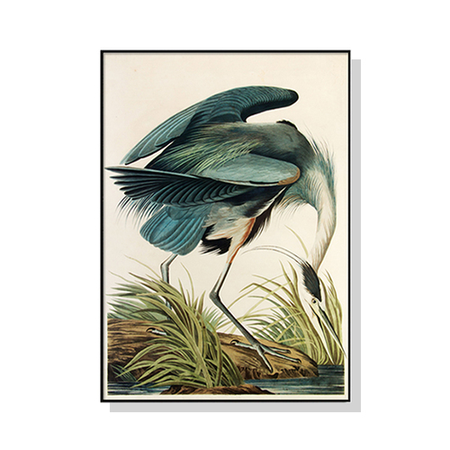 60cmx90cm Great Blue Heron By John James Audubon Black Frame Canvas Wall Art