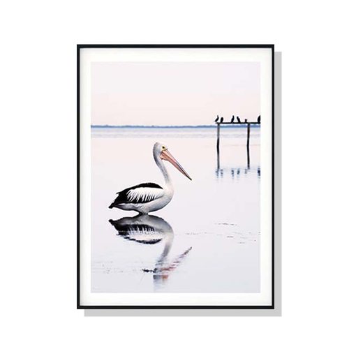 50cmx70cm Pelican Black Frame Canvas Wall Art