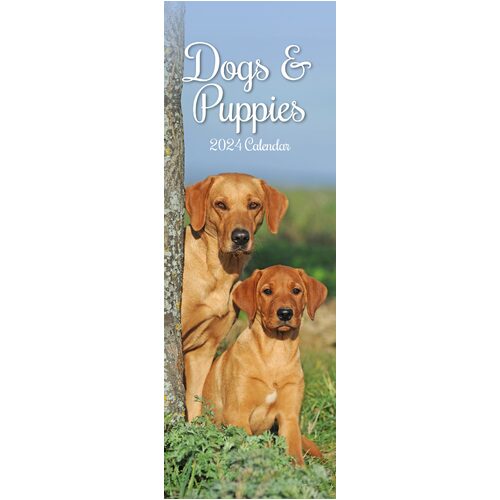 Dogs & Puppies - 2024 Slimline Slim Wall Calendar Hanging Planner New Year Gift
